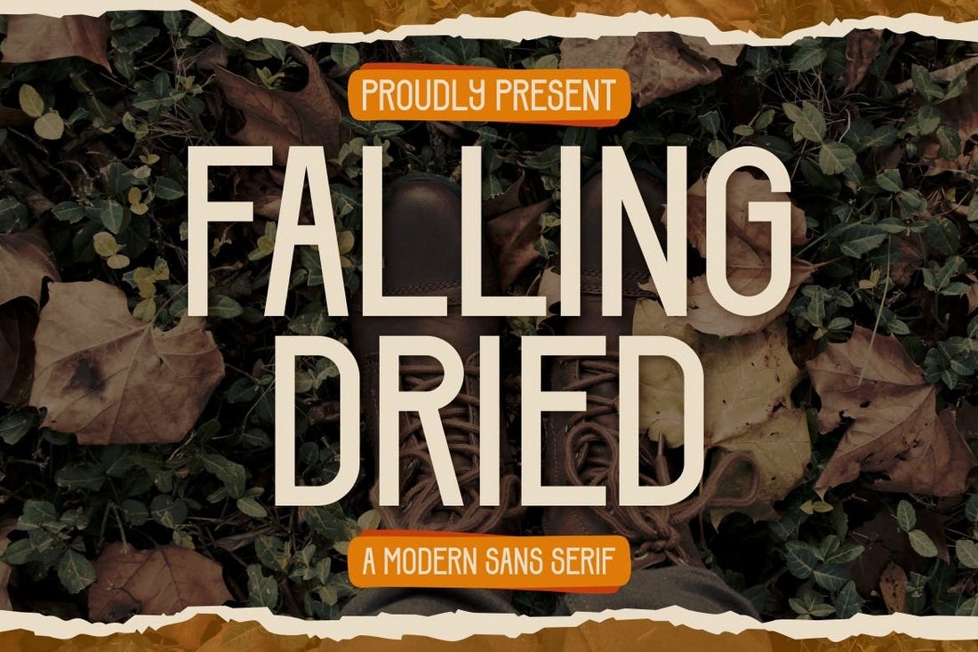 Falling Dried - Modern Autumn Font