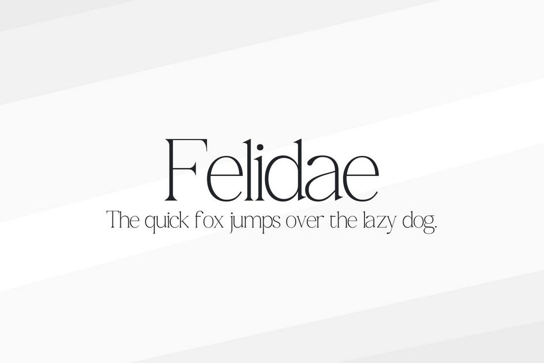 Felidae - Free Italian Style Serif Font