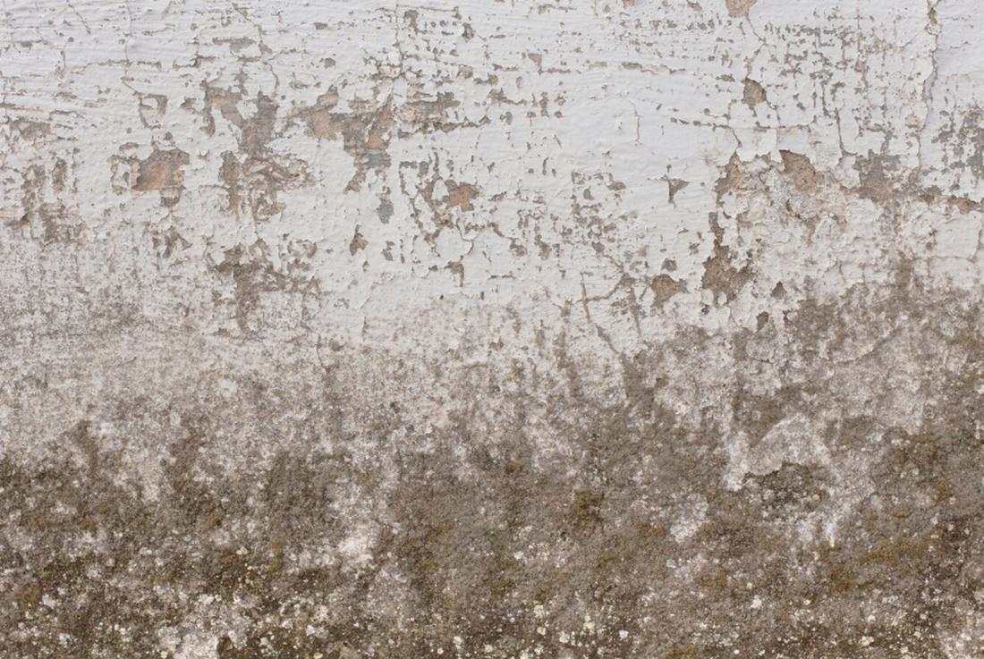 Free Weathered Wall Texture