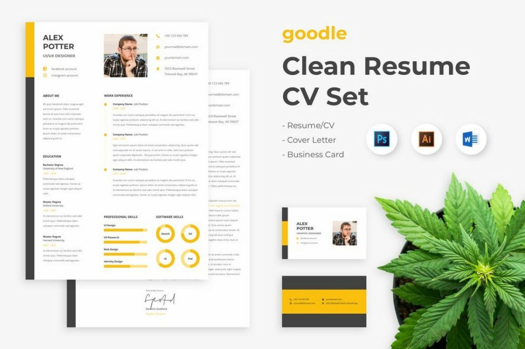 20 Pro Resume Templates for Microsoft - Goodle Clean Resume Template For Word 1024x682