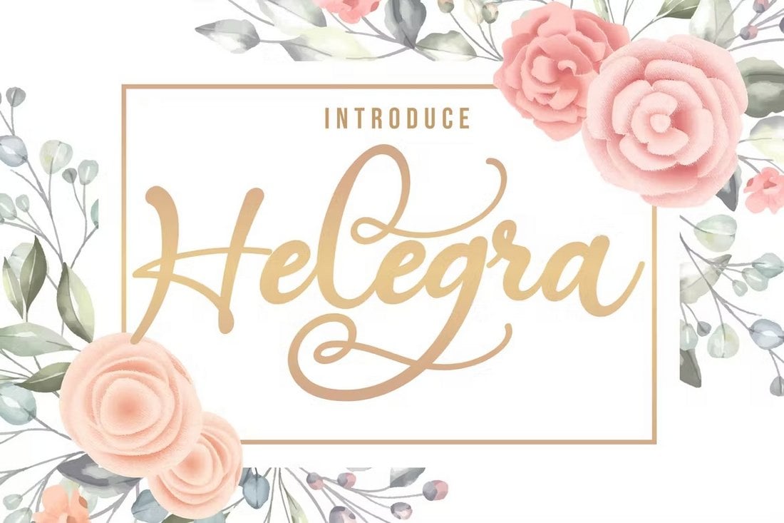 Helegra - Font Skrip Curvy