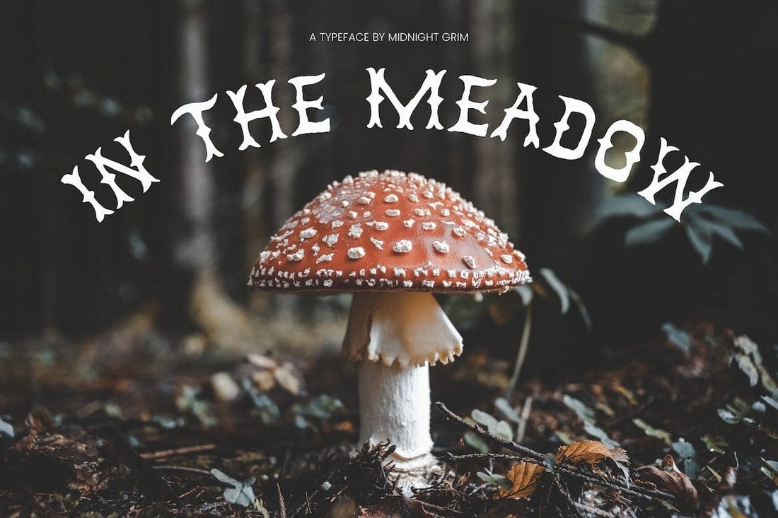 In the Meadow - Classic Fantasy Font