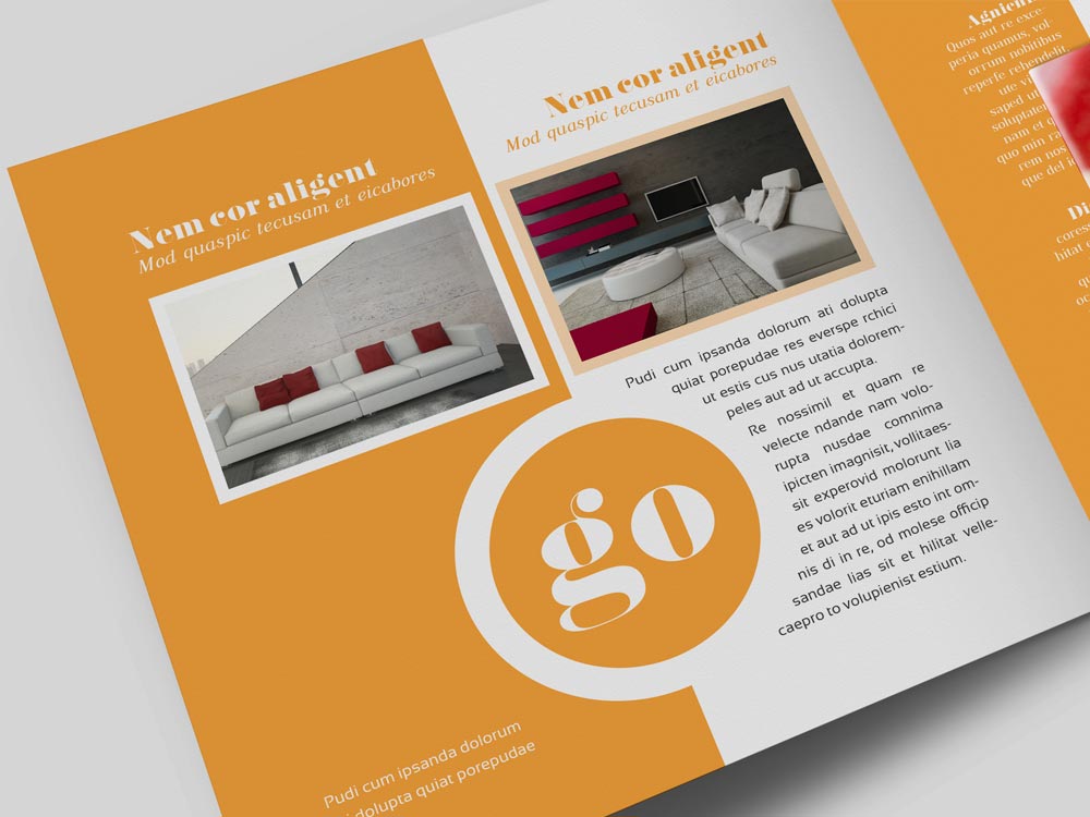 InDesign Magazine Template