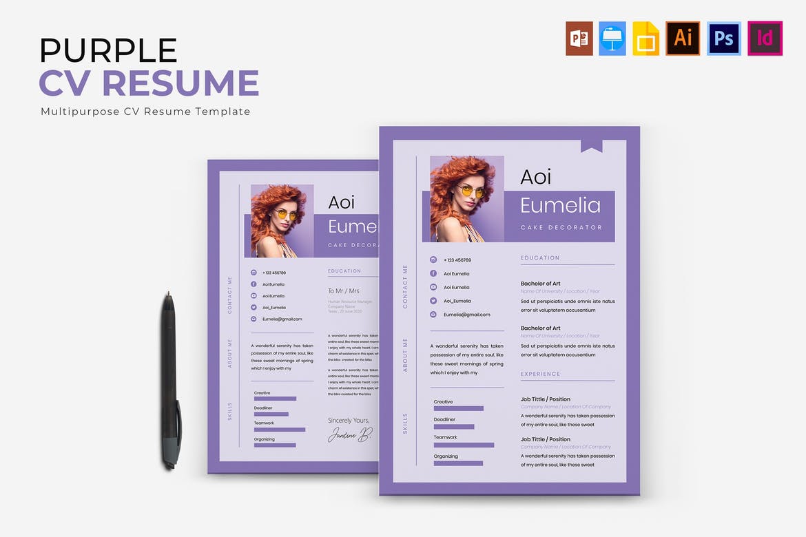 InDesign-Resume-Template-12 20+ Best InDesign Resume Templates (INDD CV Templates) design tips  