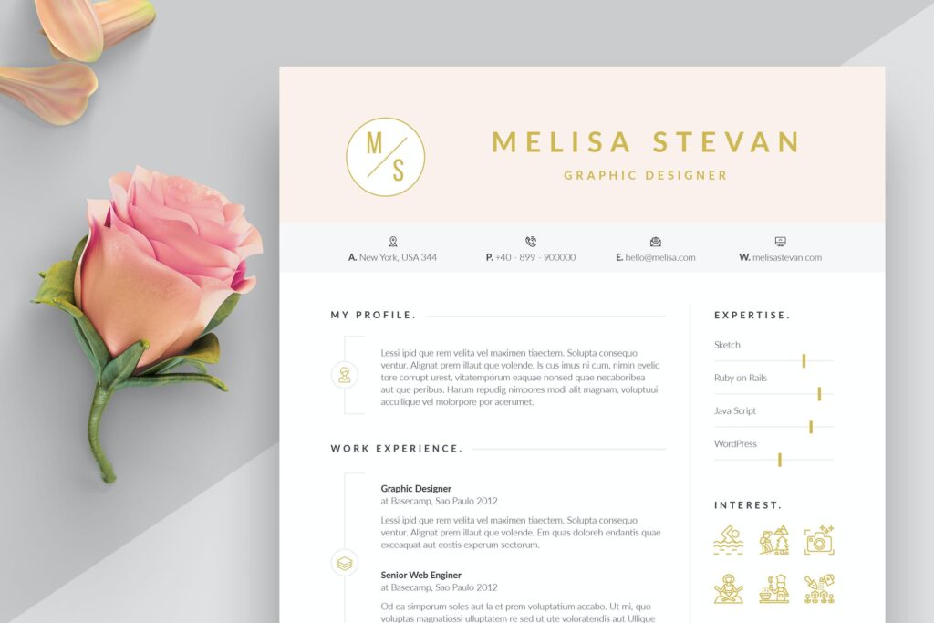 20 Best InDesign Resume Templates - InDesign Resume Template 14 1024x683 