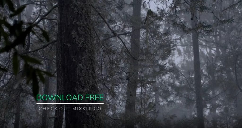 40+ Best DaVinci Resolve Templates 2023 (Free & Pro) Design Shack