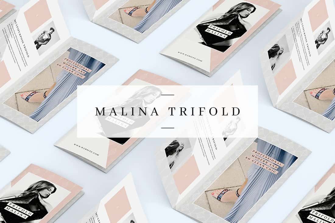 MALINA-Trifold-Brochure-Template 20+ Best InDesign TriFold Templates 2021 design tips 