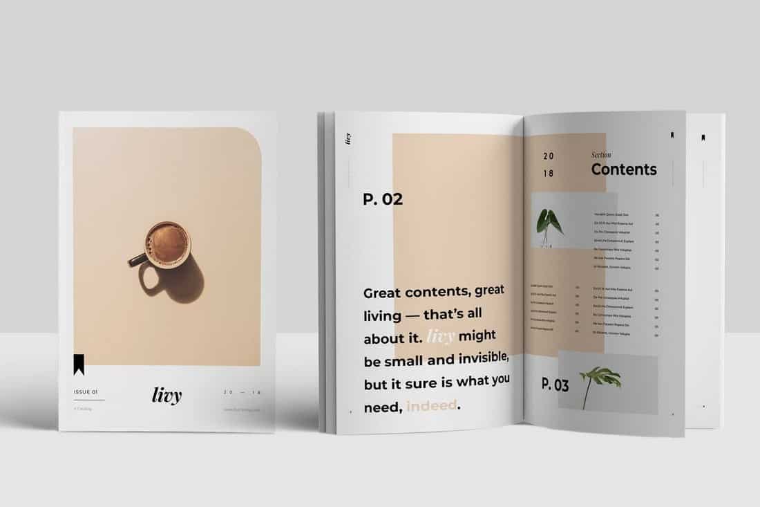 Minimal-Catalog-Brochure-Template 30+ Best InDesign Templates 2021 (For Brochures, Flyers, Books & More) design tips 