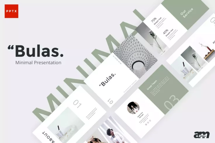 View Information about Bulas Presentation Template