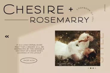 First alternate image for Modern Deluxe Font