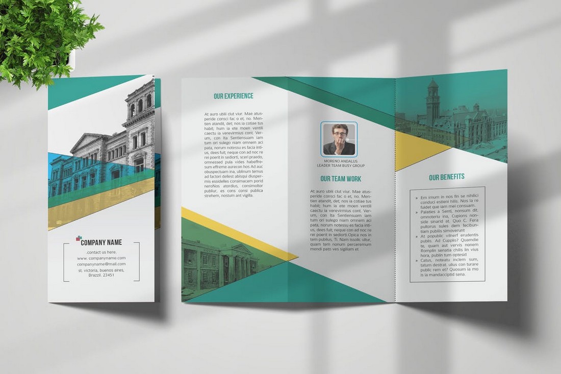 Modern Trifold Brochure Template