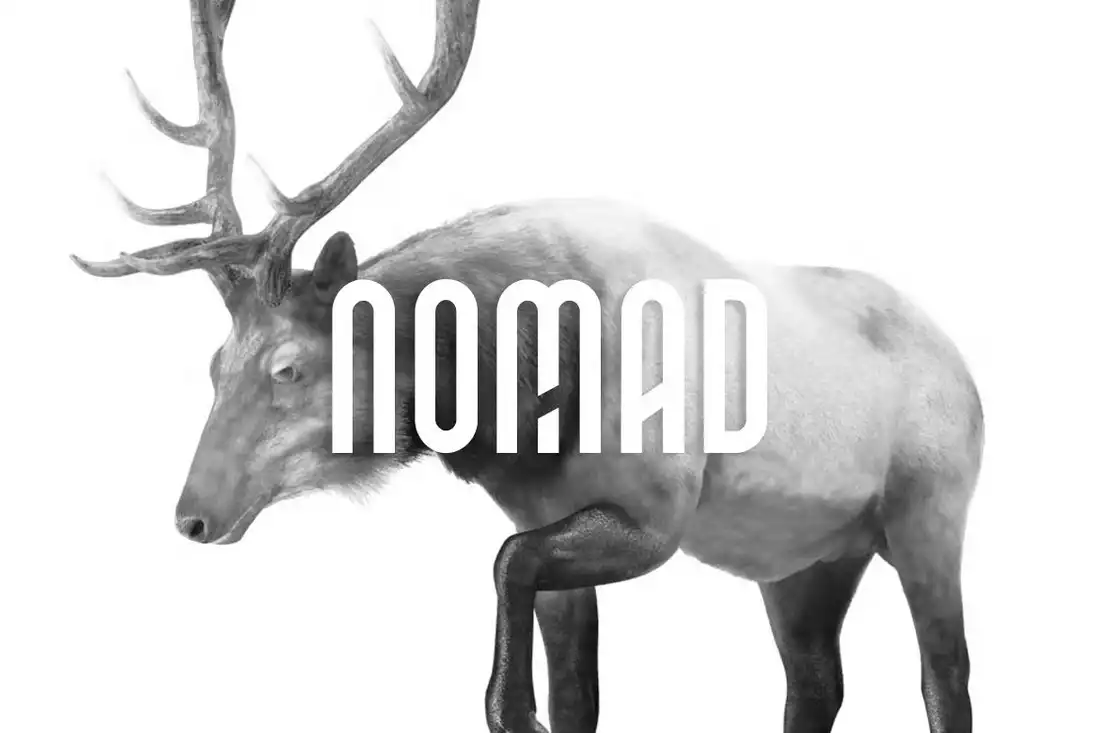 NOMAD Elegant Logo Font Design Shack