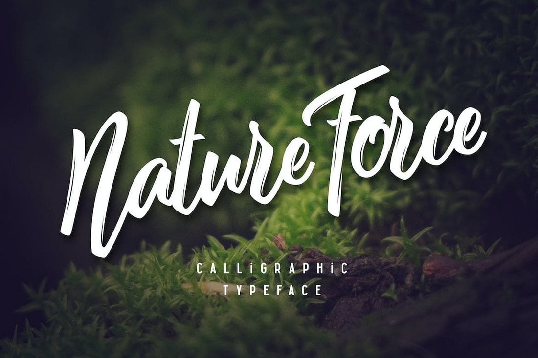 Nature Force - Calligraphy Nature Font