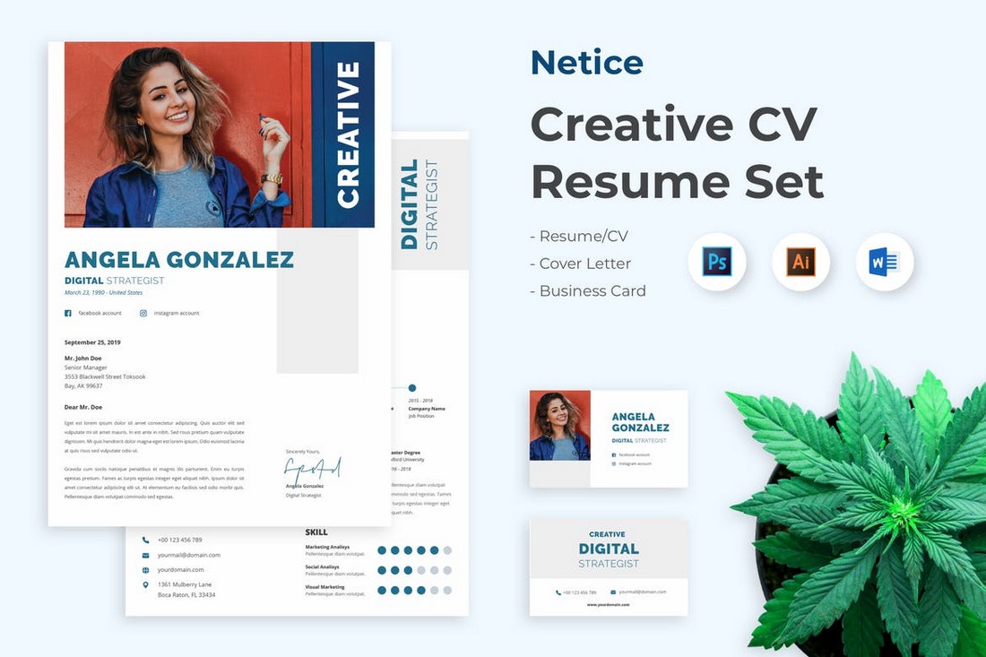 Netice - Templat Word Resume CV Profesional