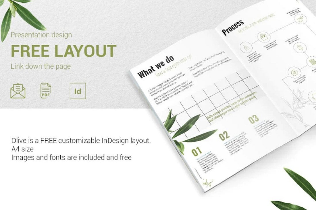 Olive - Free Graphic Design Proposal Template