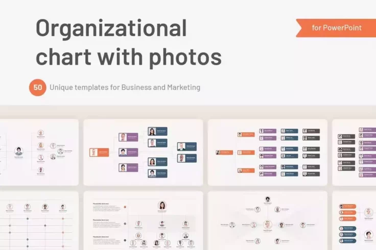 View Information about Organizational Hierarchy Org Chart PowerPoint Template