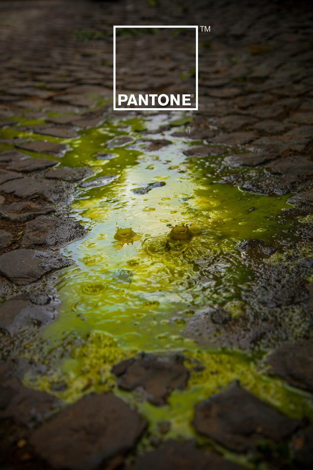 Pantone rain editing poster