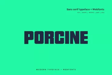 Porcine Modern Block Font
