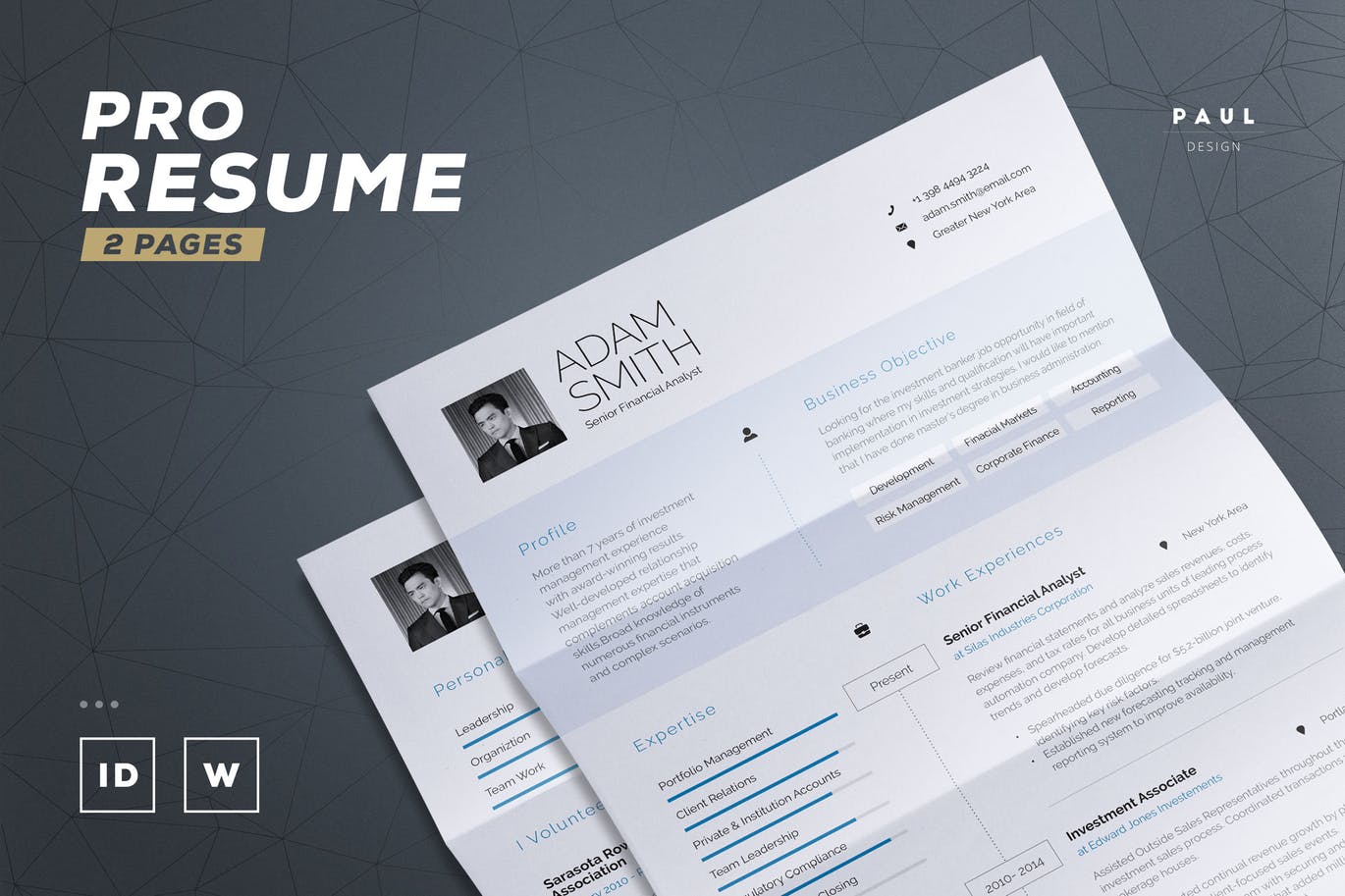 Pro-Resume-Cv 50+ Best CV & Resume Templates of 2019 design tips 