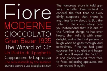 First alternate image for Regime Grotesk Font Family