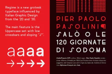 Second alternate image for Regime Grotesk Font Family