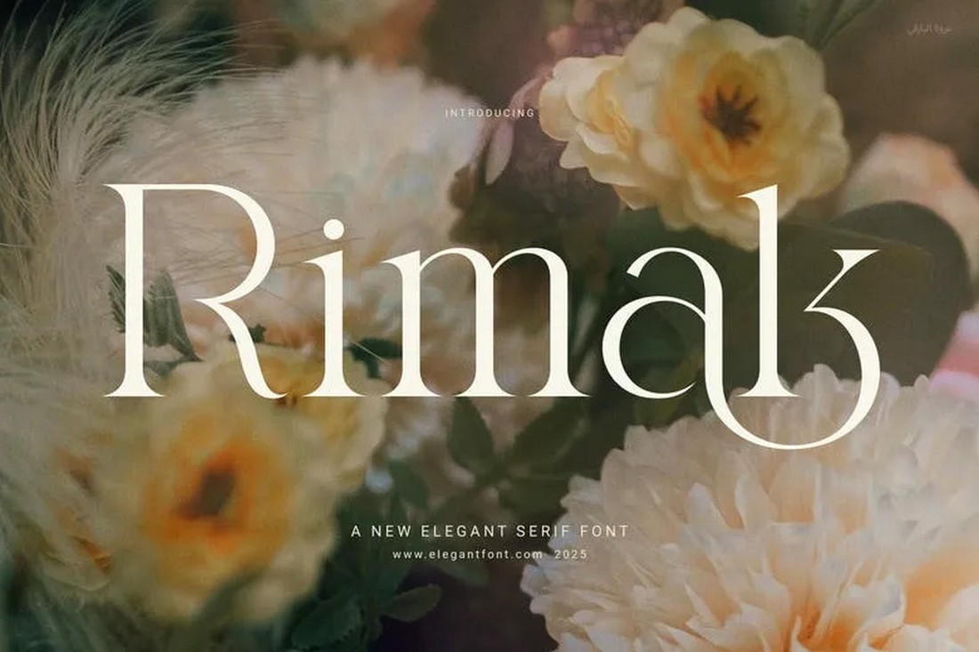 Rimak - Free Serif Font for Logos