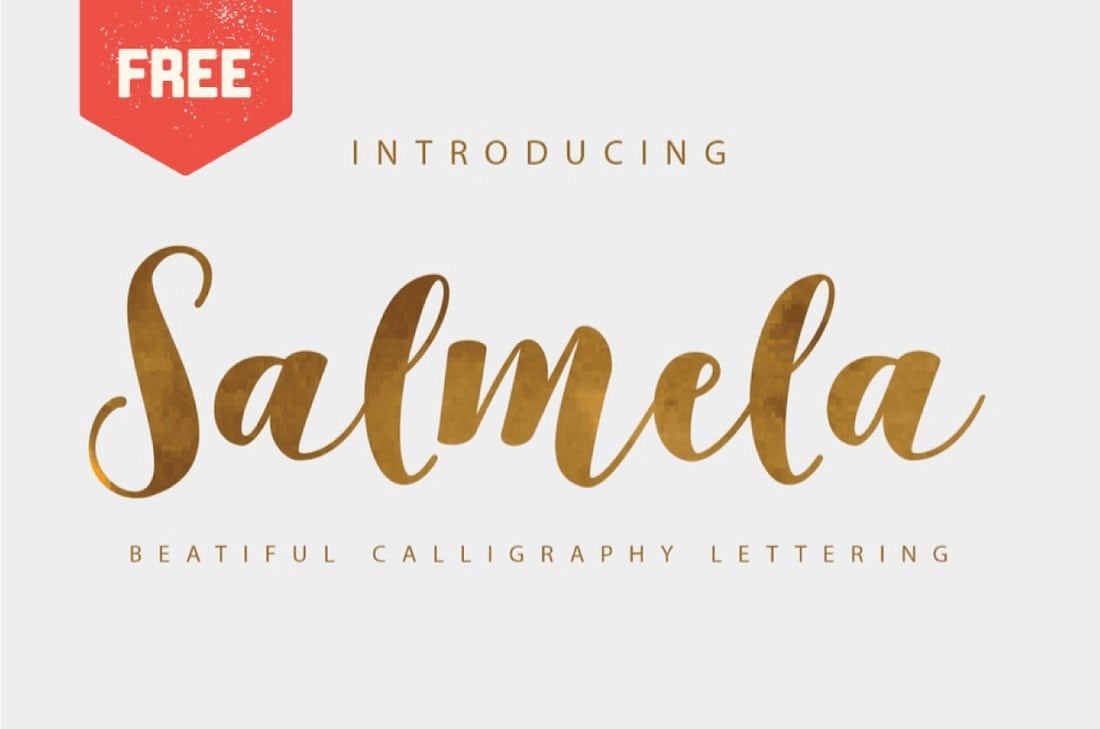 Salmela - Fonte Free Caligrafia
