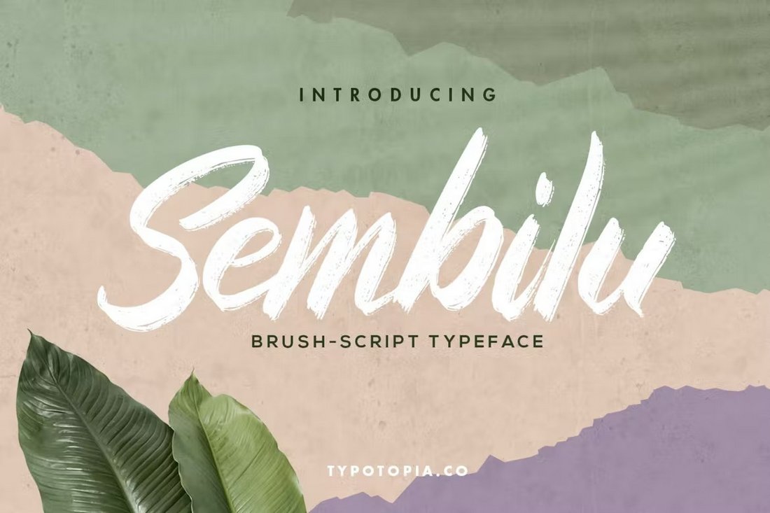 Sembilu Brush Script Font