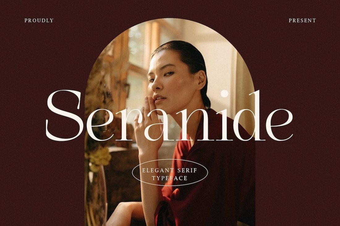 Seranide - Elegant Serif Logo Font
