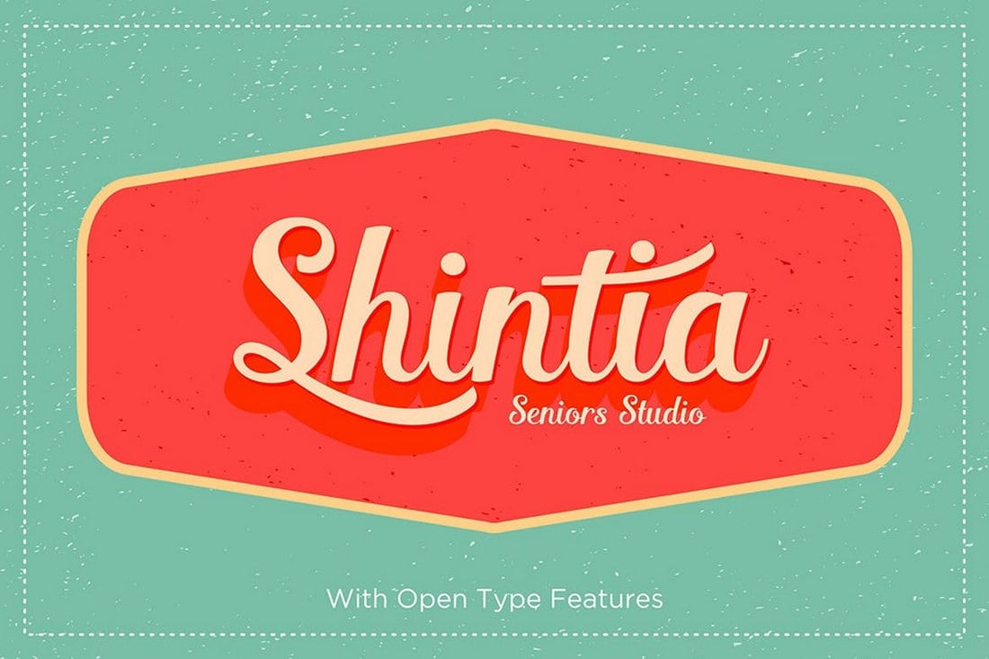 Shintia-Script-Font 30+ Best Fonts for Business Cards design tips 