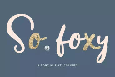 So Foxy Hand Drawn Chic Font