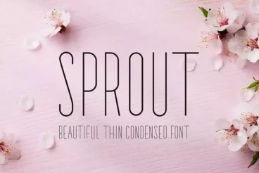 Sprout Narrow Sans Serif Font