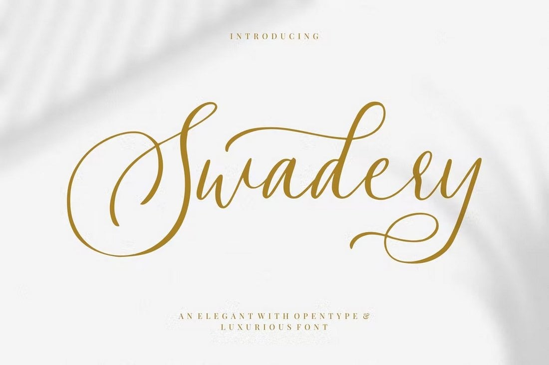 Swadery - Luxurious Curvy Font