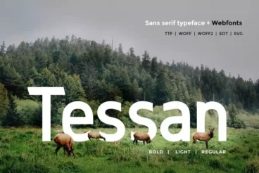 Tessan Sans Modern Clean Font