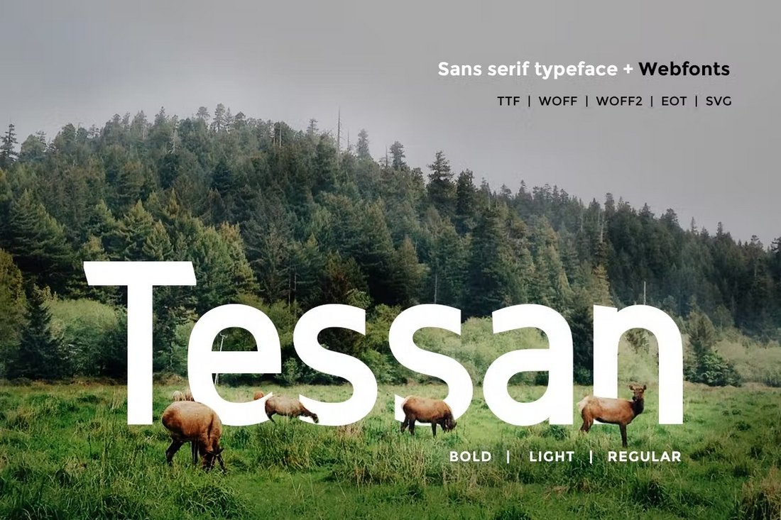 Tessan Sans - فونت مدرن تمیز