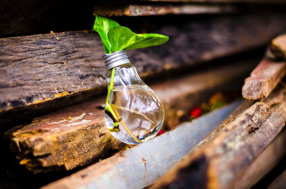 How to Embrace Creative Limitations