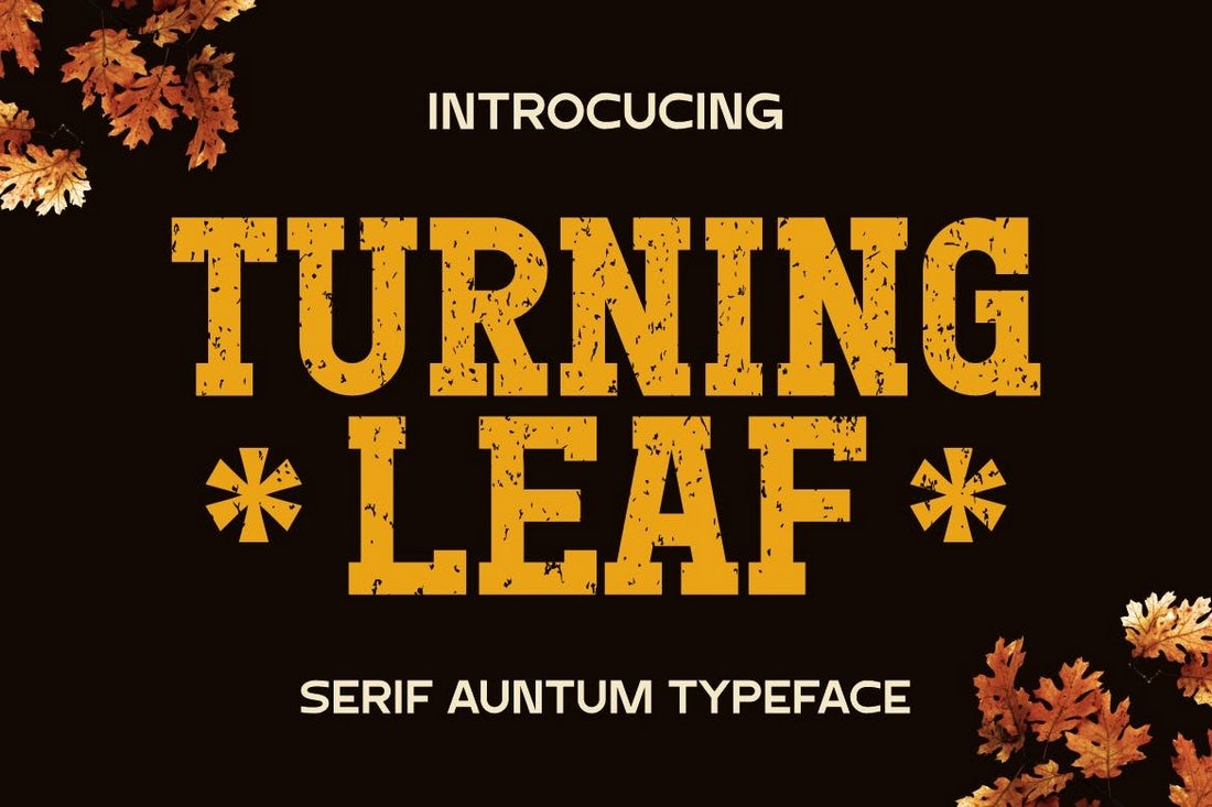 Turning Leaf - Fall Title Font