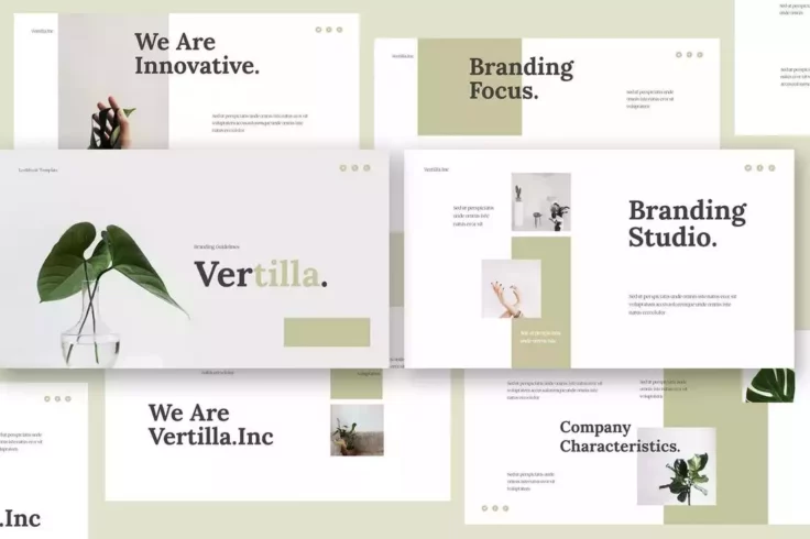 View Information about Vertilla Brand Guideline Keynote Template