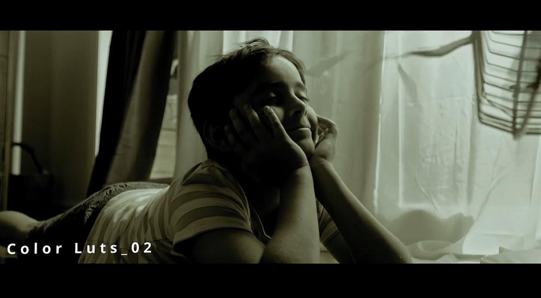 Vintage LUTs & Presets for Premiere Pro