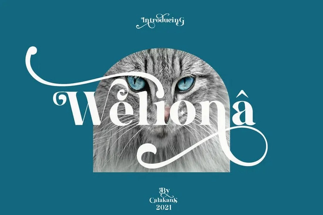 Weliona - Free Serif Font for Logos