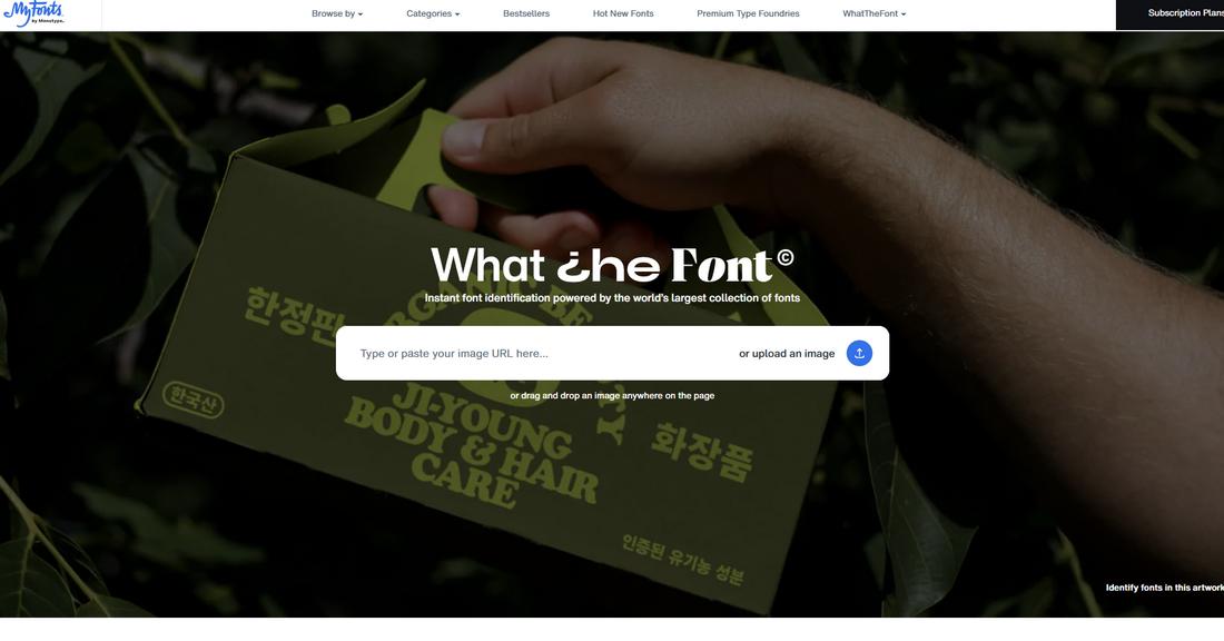 WhatTheFont by MyFonts
