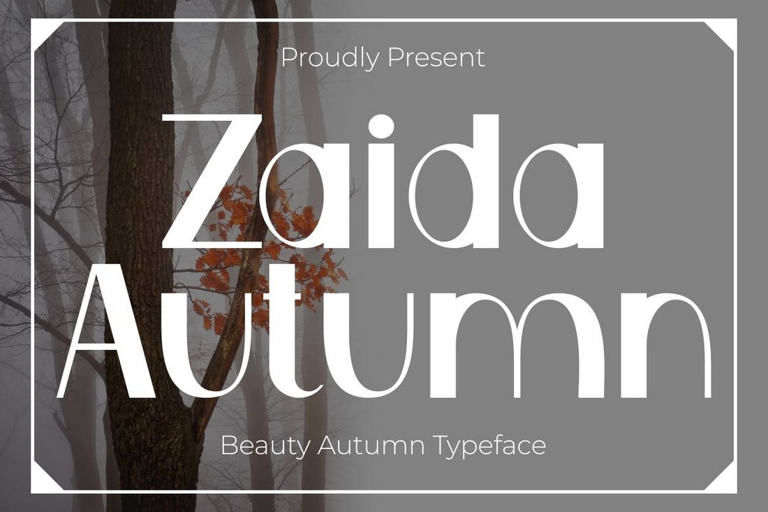 Zaida Autumn - Beauty Autumn Font