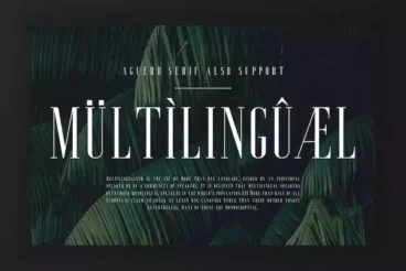 Second alternate image for Aguero Serif Clean & Elegant Font