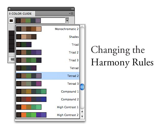 Color Palette Shade Card Color Theory Theme Guide Harmony Vector