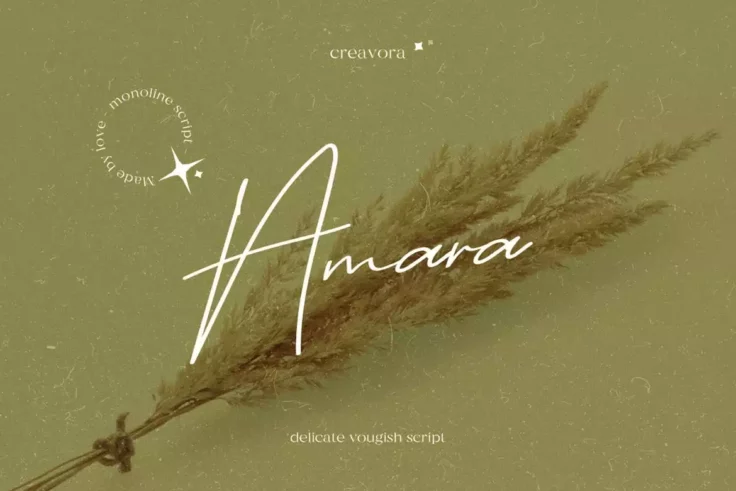 View Information about Amara Aesthetic Script Font