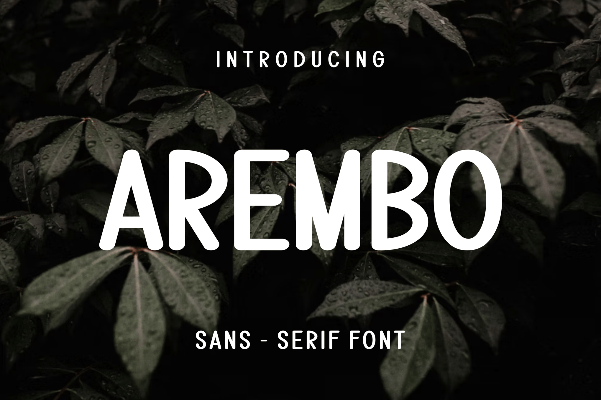 Arembo - Creative Humanist Font