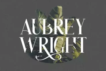 First alternate image for Athina Modern Feminine Serif Font