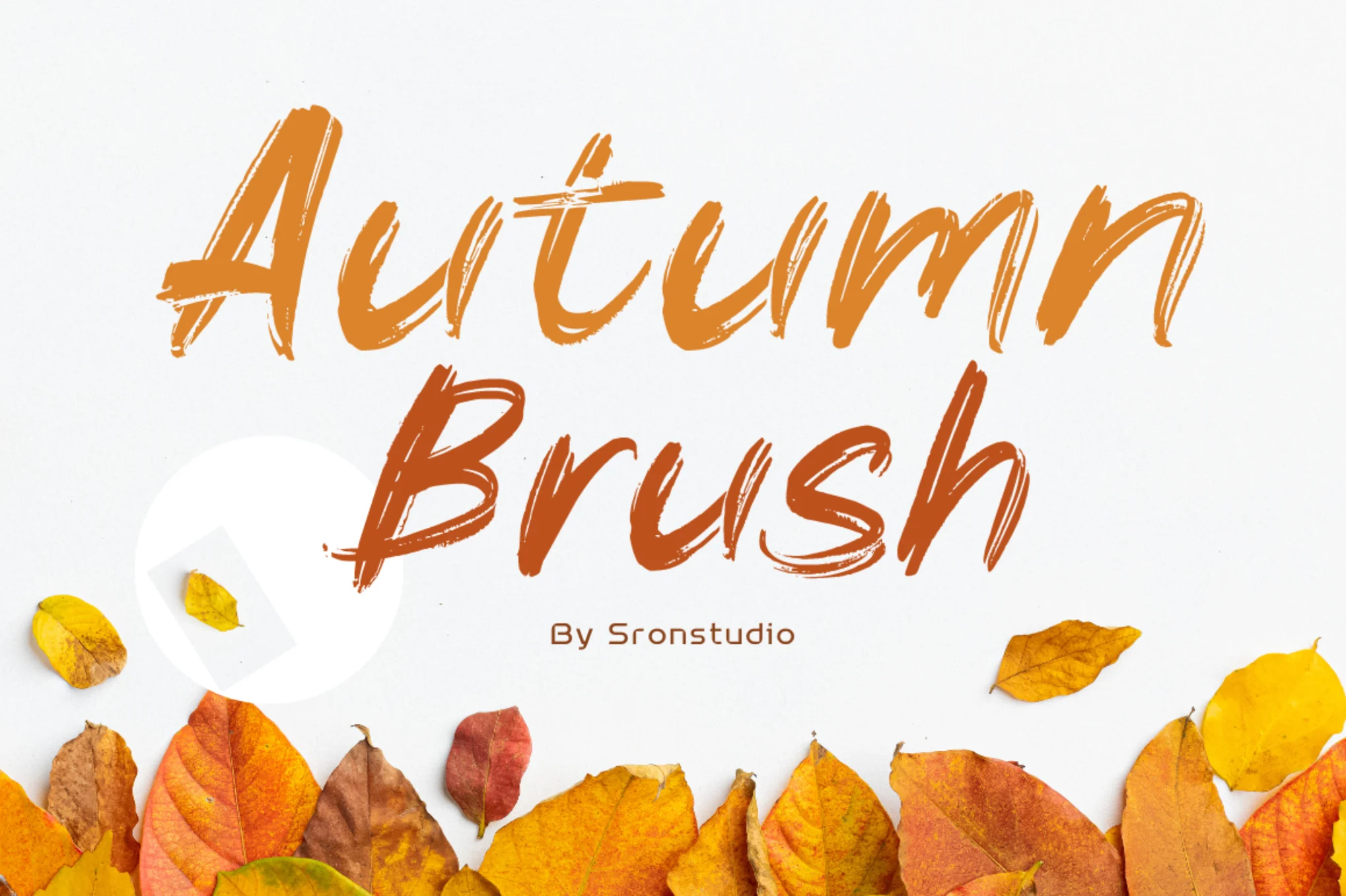 Autumn Brush - Thanksgiving Font