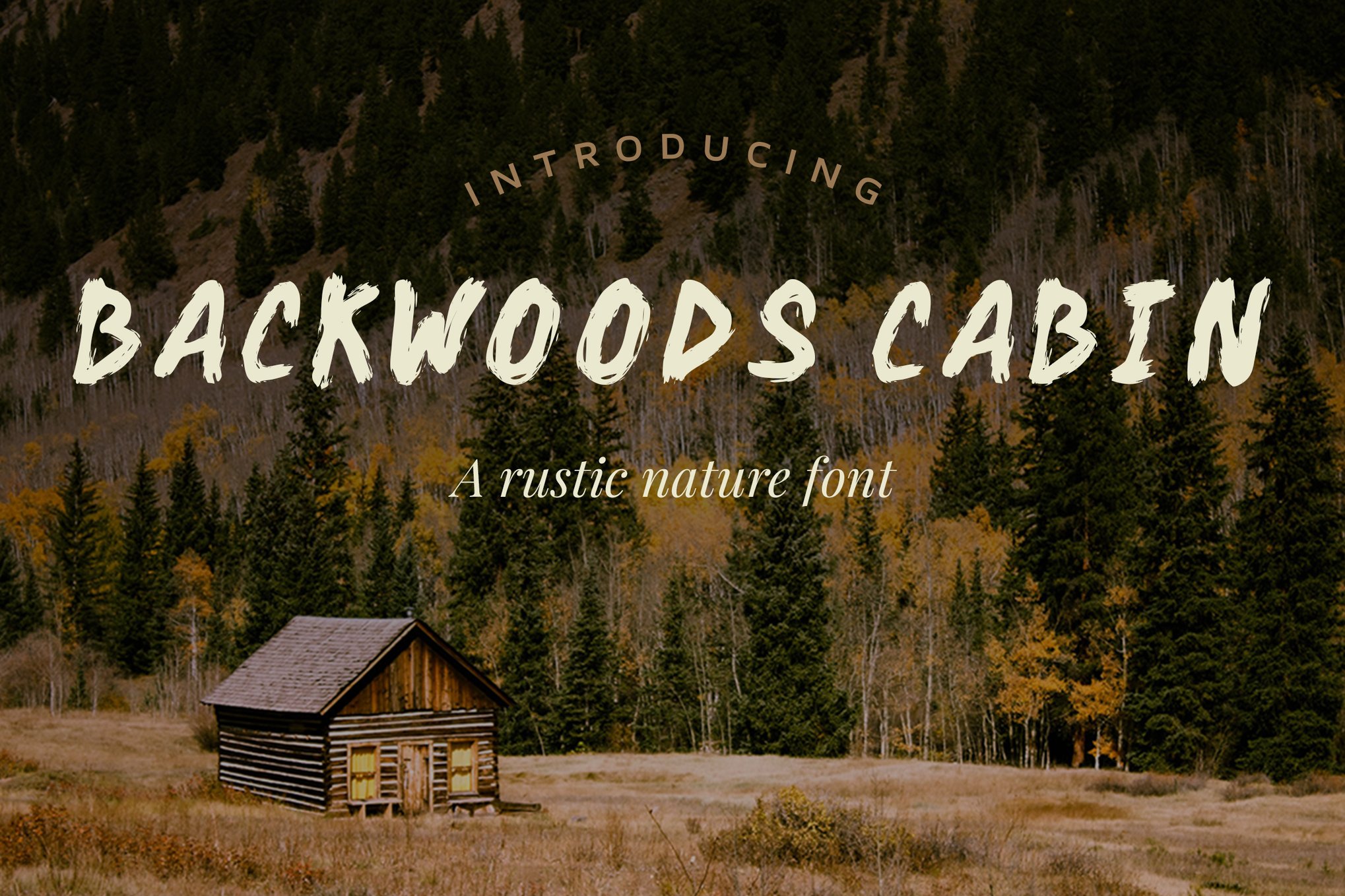 Backwoods Cabin - Outdoor Font
