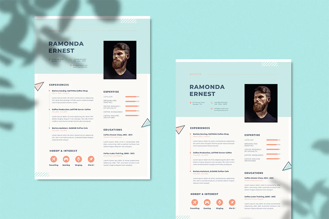 30+ Stylish Resume Color Schemes for 2024 | Design Shack